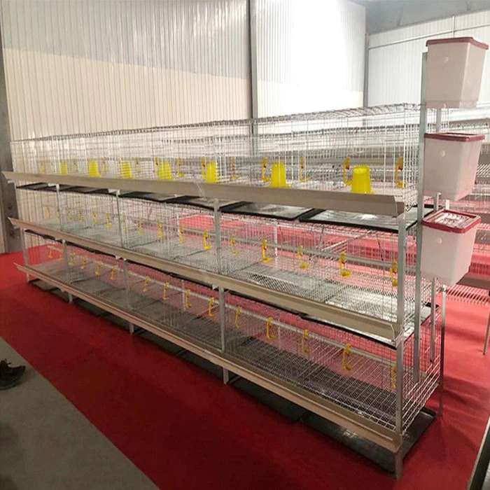battery cage poultry farming